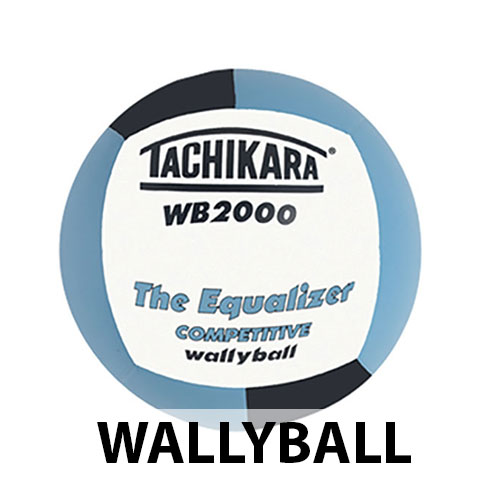 WALLYBALL